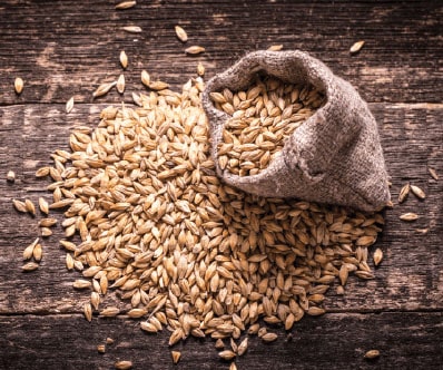 How to Identify the malt in beer brewing process? 