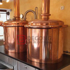 5BBL Copper Micro Brewery Used in Bar Hotel | Buy A Brewing Sysytem