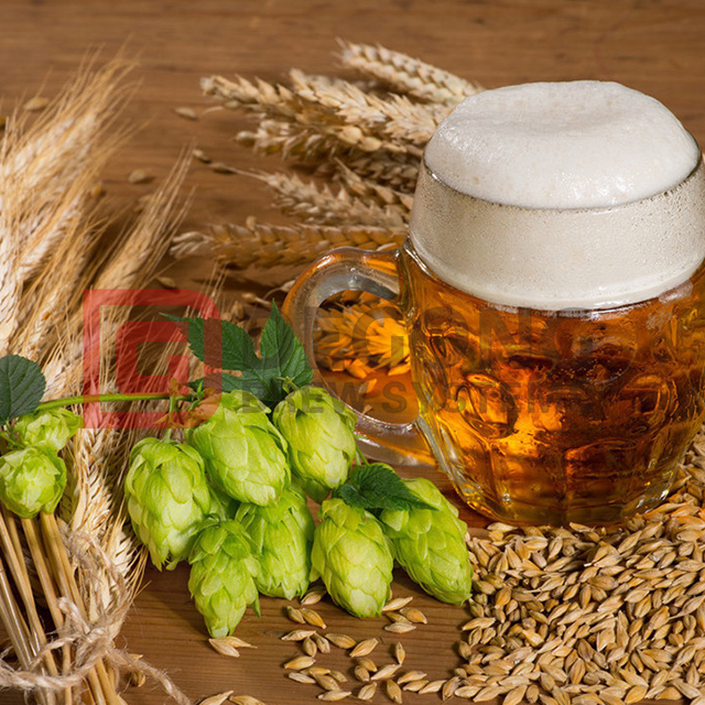 Beer Brewing Equipment1 Beer Brewing Equipment1