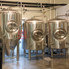 Turnkey Micro Brewery Project 500 Liters Beer Brewing Equipment Restaurant Brew House Machine