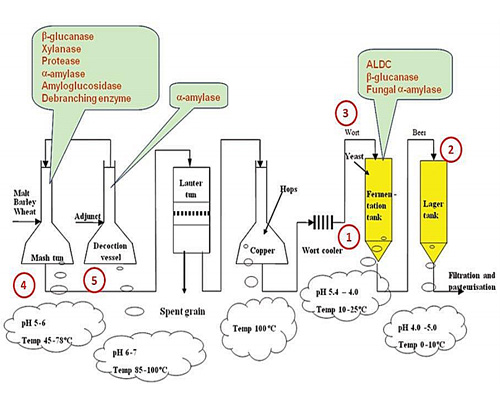 How to control the pH value of beer?