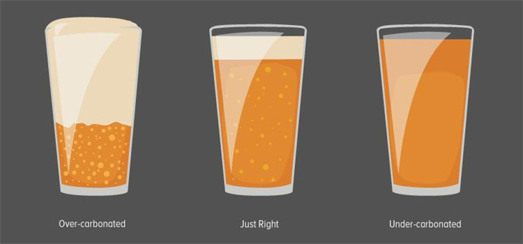 beer carbonation
