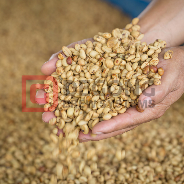 Beer Brewing Equipment19