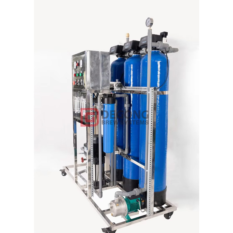 250LPH RO Seawater Desalination System for Drinking Water
