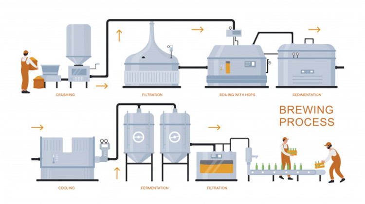 beer-brewing-process