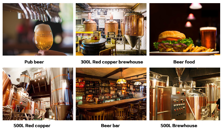 pub brewing system