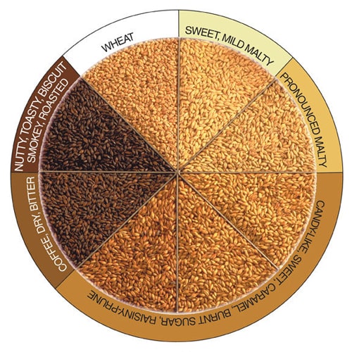 When brewing beer, some knowledge about the boiling process?