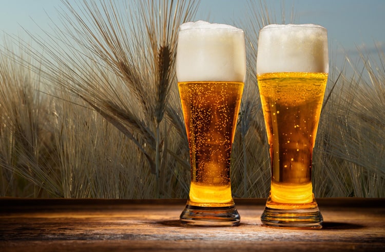 Barley+Beer+Photo+2-min