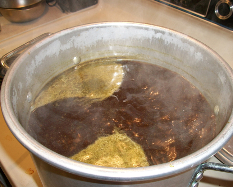 What Is Wort?