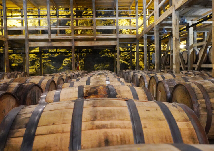 craft-distillery-equipment-degong-002