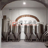 Microbrewery beer equipment 500L 1-2 batches per day stainless steel or cladding copper