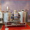 300L Small Home Brewed Self Brewing Beer Equipment Craft Micro Brewery Plant for Hotel