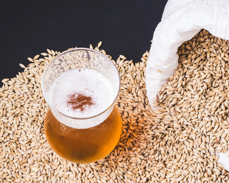 How does malt affect beer brewing?