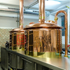7BBL Red Copper Brewhouse Equipment/ Brewing Beer Equipment Sold in Germany