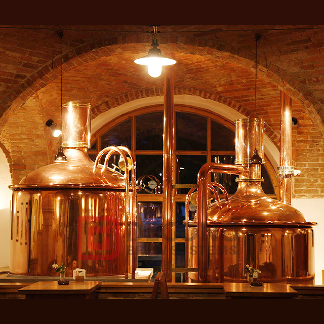 20BBL Copper Beer Brewing Equipment | Hotel Brewing Equipment | DEGONG