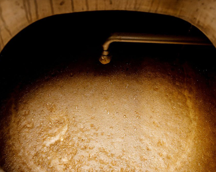 The Role of Oxygen in Beer Fermentation