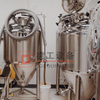 1000L Side Manhole Fermentation Tank Conical Beer Fermenter Sus304 Tanks for Sale 