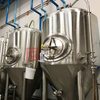 500L Beer Brewing Vessels Complete Brewery Equipment Unit Two Batches Per Day