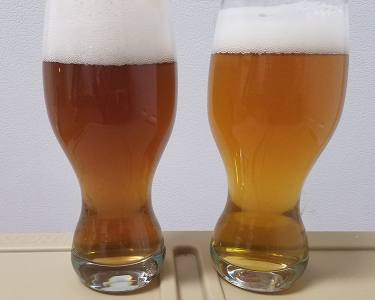 What is Oxidation in Beer?