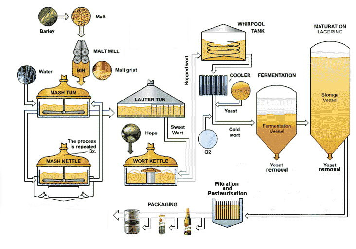 The fermentation process of top fermentation and bottom fermentation - QQjietu20201228114801fuben