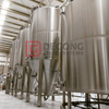 20HL High Quality Cylindrical Conical Fermentation Tank Cooling Jacketed Fermenter