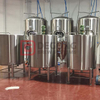30HL Stainless Steel Brewhouse System 2 Vessels Beer Brewing Equipment Turnkey Brewery