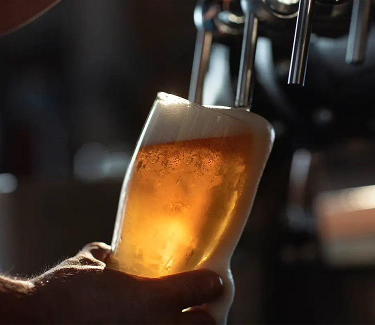 Scientifically Proven Health Benefits of Drinking Beer