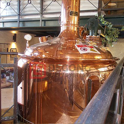 20HL 2 Vessel Copper Craft Brewery Equipment for Sale in Finland