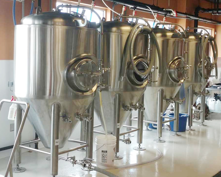 degong-beer-vs-kombucha-fermenter-001