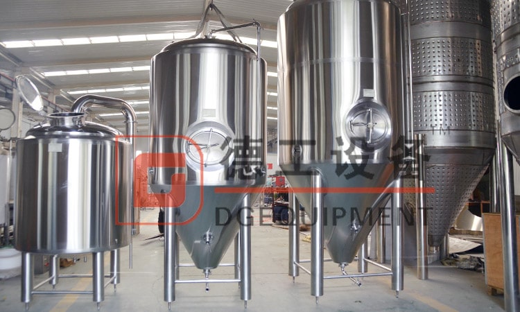 Flex Tank VS Stainless Steel Fermenter