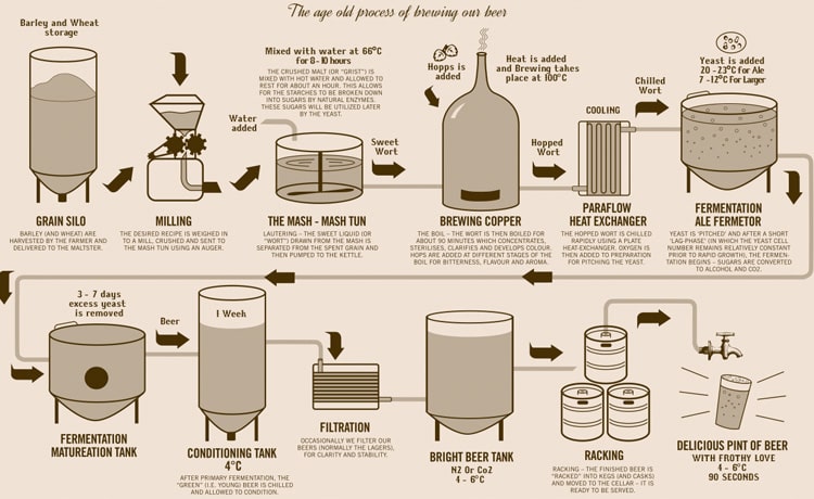 Craft beer brewing steps and time