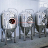 400L Conical-bottom Fermentation Tank for Beer Fermenting And Maturation Conical Shape Fermenter for Sale