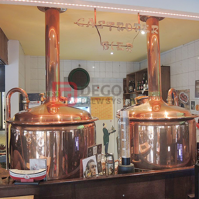 5BBL Complete Set of Copper Beer Brewing Equipment/Brewery Manufacturer