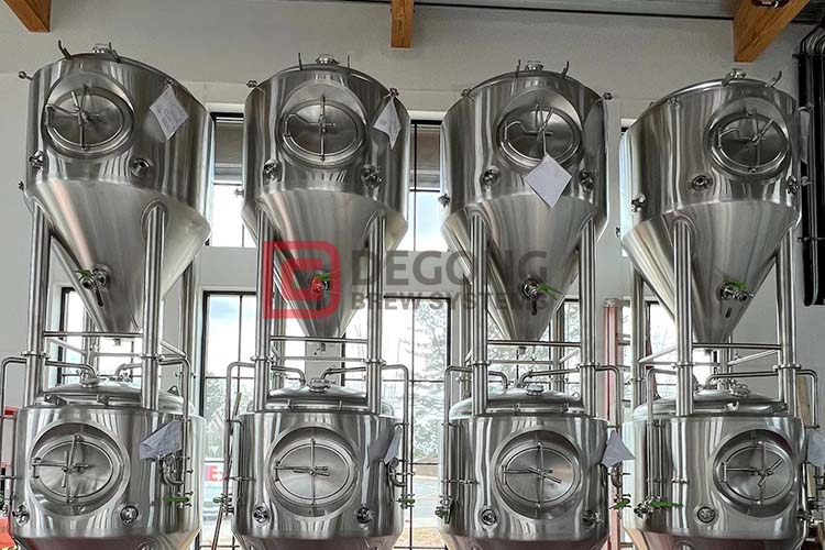 What are the methods of daily cleaning and disinfection of beer equipment?