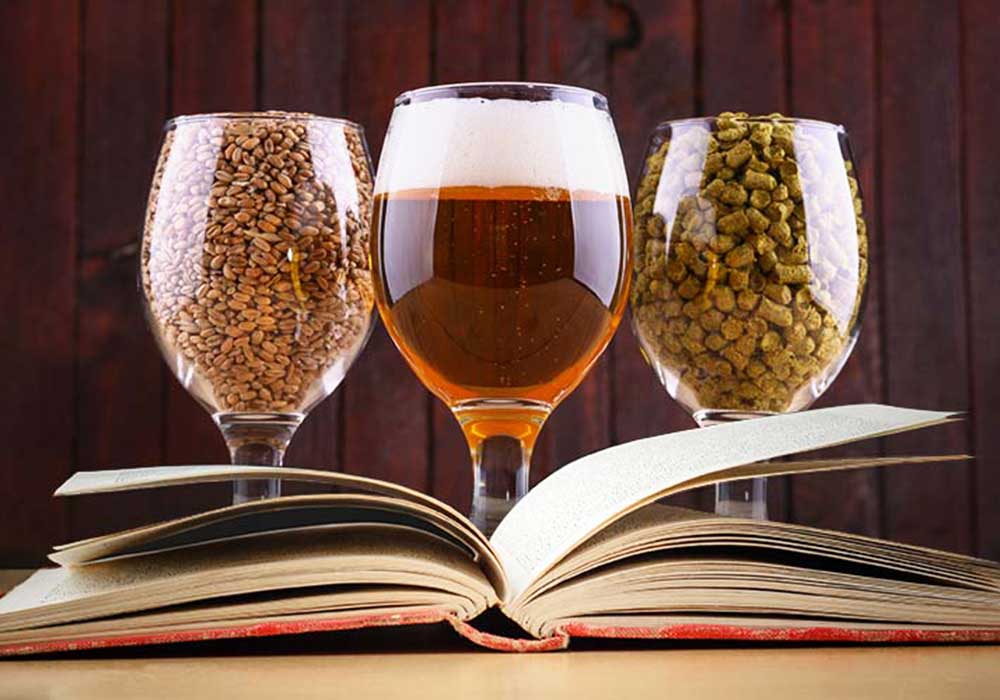 The principle of beer fermentation