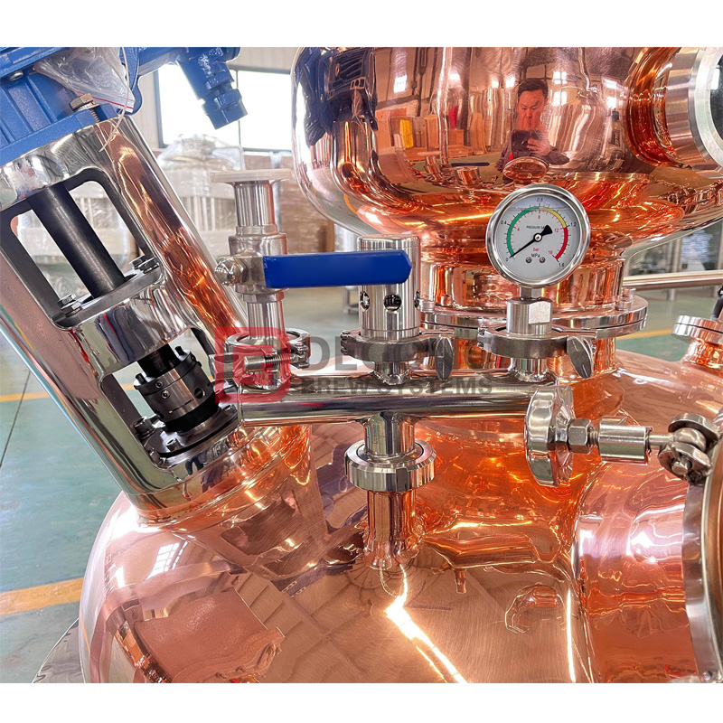450L Distillery Equipment for Craft Spirits Batch Production