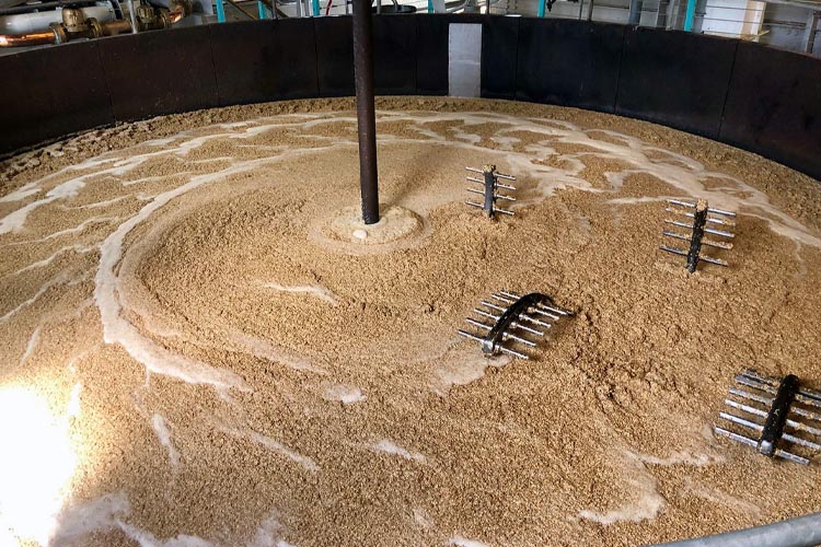 Let's talk about the relationship between beer mashing process and enzymes.