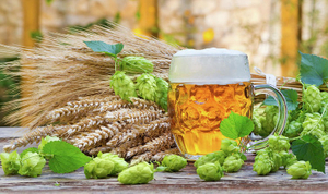 beer-and-raw-material-for-beer production (1)-min.jpg