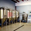 10 BBL Beer Brewhouse with 20 BBL Fermenters Complete Brewery Configuration