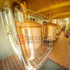 5BBL 2 Vessel Brewhouse Copper Beer Brewing System for Sale