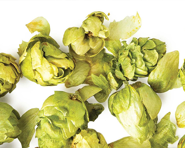 What is Dry Hopping?