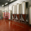 Pub Brewing Systems 5-15bbl all grain brewing equipment list