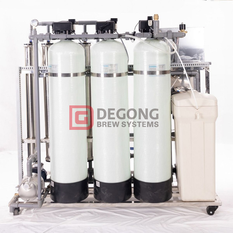 1000LPH RO Water Treatment System Two-Stage SS304 Pure