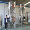 Turnkey 2000L beer brewing equipment to produce quality beer and breweries from DEGONG supplier