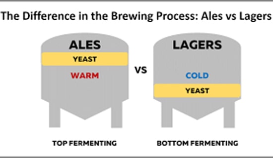 In the brewing process of beer, why top fermentation yeast has great influence on beer taste, while bottom fermentation has little influence on beer taste?