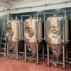 500L Micro Brewery Craft Hand Small Scale Brewpub/restaurant Used Beer Fermentation Tank