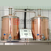 200L 500L Small Brewery Home Brewing Equipment Manufacturer DEGONG