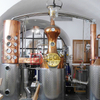 Red Copper Continuous Distiller/ Patent Distiller/ Column Distiller for Sale
