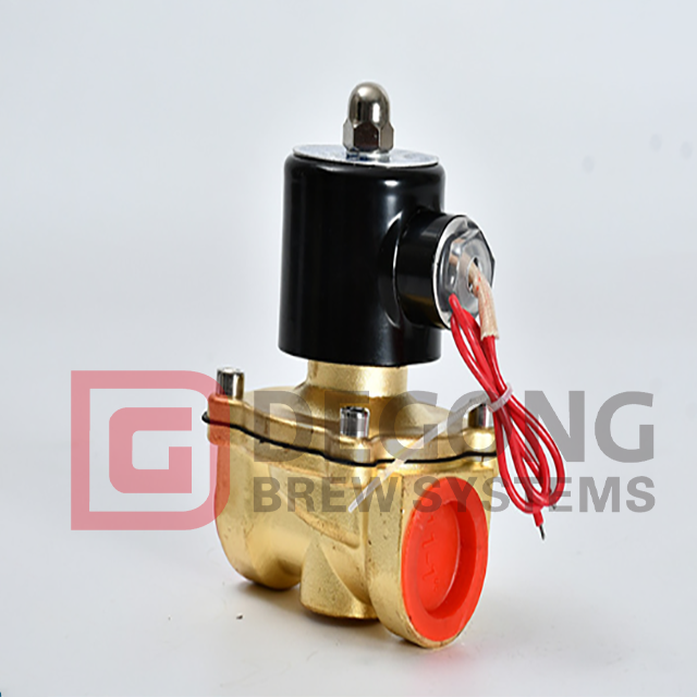 2inch110V AC Electric Brass Solenoid Valve Used for Water, Beer, Beverage 