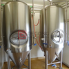 1000L Beer Fermentation Tank SUS304 Material High Efficiency Fermenter for Sale